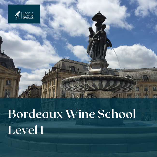 Bordeaux L1 Bordeaux L1