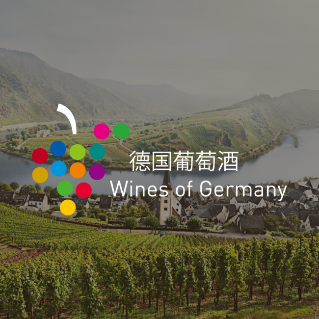 CORVINO WINE SCHOOL Corvino Asia