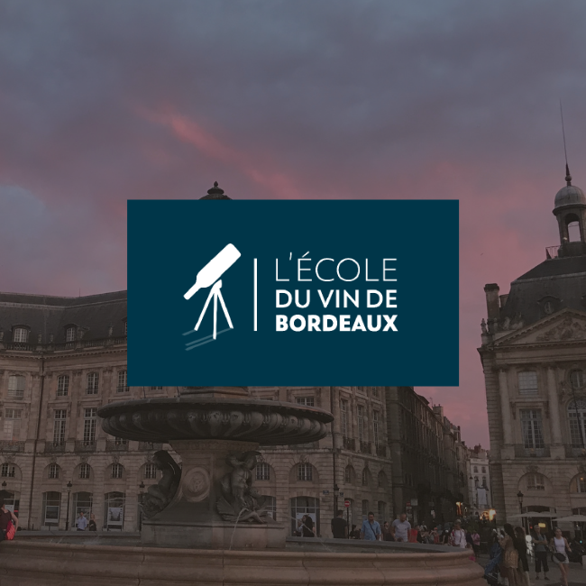 product-website-bordeaux