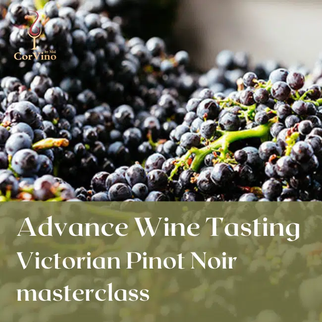 Advance Wine Tasting Australian Victorian Pinot Noir Masterclass Corvino Asia