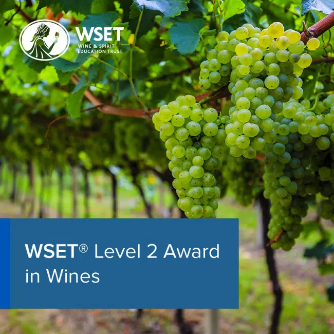 WSET Level 2 Award in Wines Certification Course - CorVino