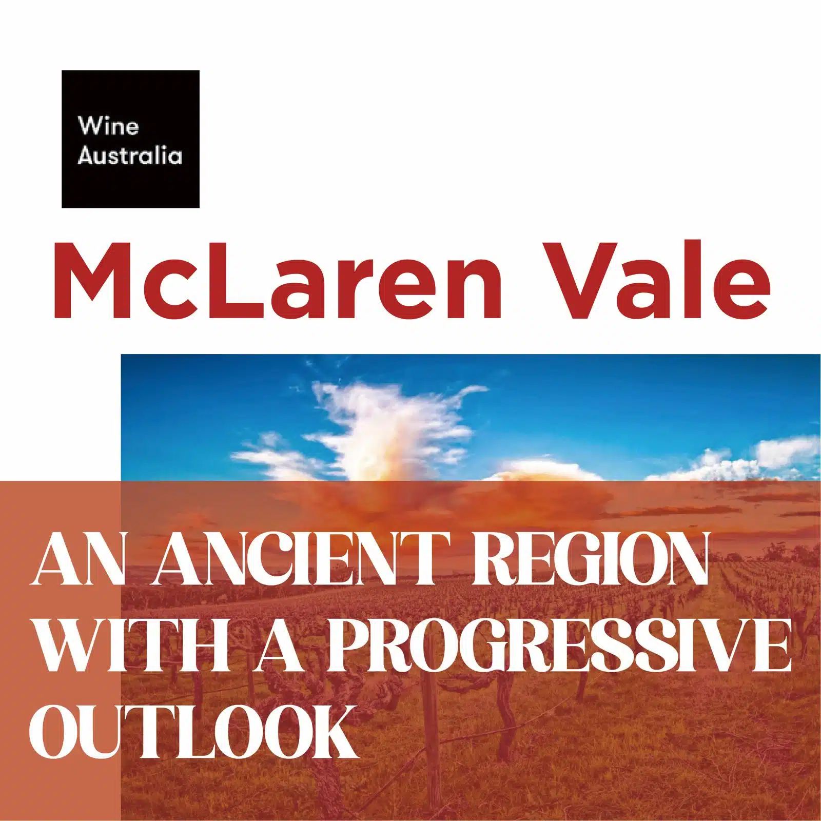 WhatsApp Image 2025-12-02 at 11.41.14 AM McLaren Vale: AN ANCIENT REGION WITH A PROGRESSIVE OUTLOOK - Image 1