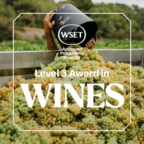Qualification tile_1080x1080_wines6 Qualification tile_1080x1080_wines6
